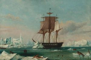 Captain Charles Wilkes, attribution - USS Vincennes in Disappointment Bay, about 1842